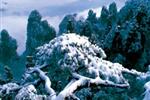 【純玩拼團(tuán)線路18】下午班：鳳凰古城、張家界、天子山三晚四日游