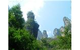 【純玩拼團(tuán)線(xiàn)路 張家界出發(fā)A2線(xiàn)】張家界、袁家界、天子山、金鞭溪、鳳凰古城2晚3日游